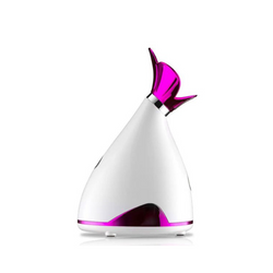 Vaporizador Facial Sauna Phyopus